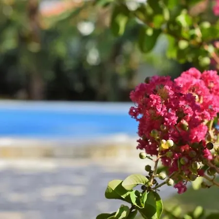 In With Balcony, Air Conditioning, Wifi 819-7 Porec