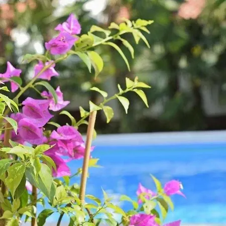 In With Balcony, Air Conditioning, Wifi 819-7 Apartment Porec